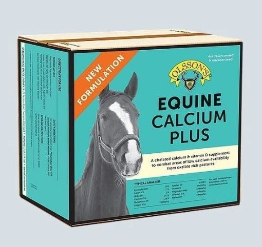 Picture of Olssons Equine Calcuim Plus Blocks