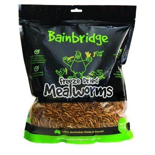 Picture of Freeze Dried Australian Mealworms